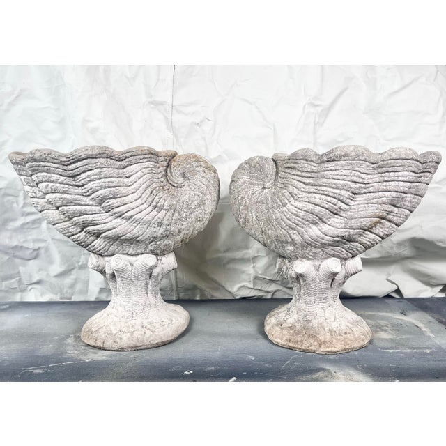 Vintage pair of cast stone nautilus shell planters. Large shells on coral branch bases.