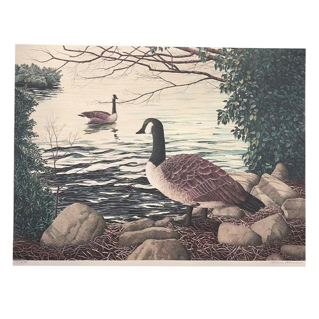 Dove Gray American Landscape Portrait "Canadian Goose" Lithograph Signed by Helen Rundell For Sale - Image 8 of 9