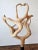 Tan Large Organic Free-Form Teak Root Wood Sculpture For Sale - Image 8 of 12