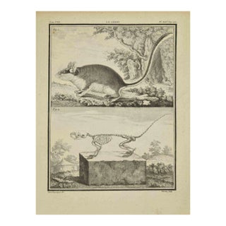 Juste Chevillet, La Lerot, Etching, 1771 For Sale
