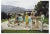 Slim Aarons, Poolside Party, 1970s / 2020s, Estate Print For Sale