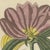 Paper Bertuch, Galbanum and Hungarian Gentian, 1805, Print For Sale - Image 7 of 12