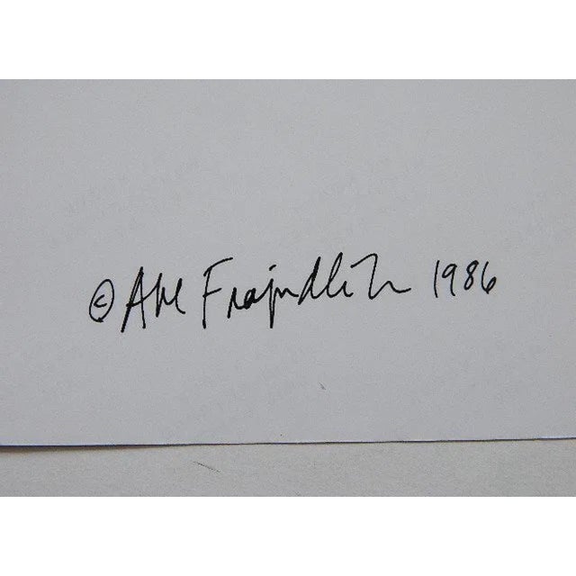 Abe Frajndlich, 1986 Red Grooms & Sculpture Vintage C-Print Photograph Abe Frajndlich Colo Photo, 1986 For Sale - Image 9 of 9