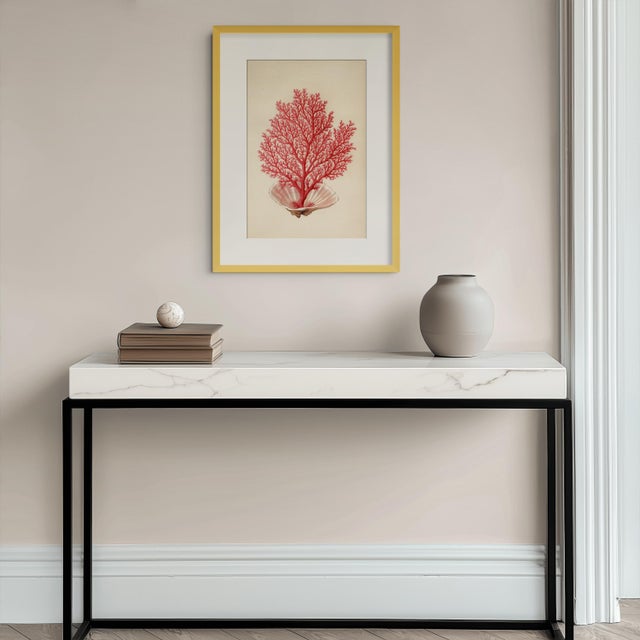 Illustration Red Coral and Seashell — Natural History Fine Art Print For Sale - Image 3 of 3