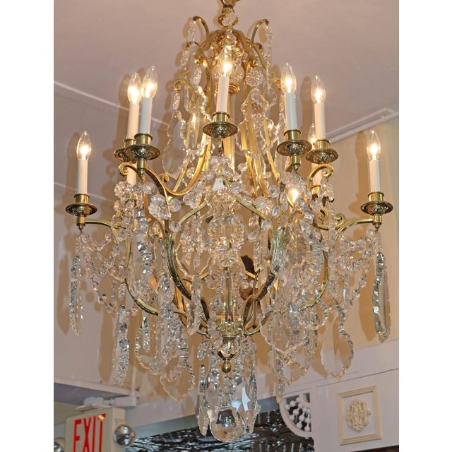 Late 19th Century French Louis XV Style Brass & Crystal 12 Light Cage Chandelier For Sale - Image 4 of 18