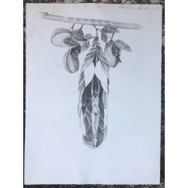 Figurative 1972 Adrienne Anderson Female Nude Lithograph For Sale - Image 3 of 3