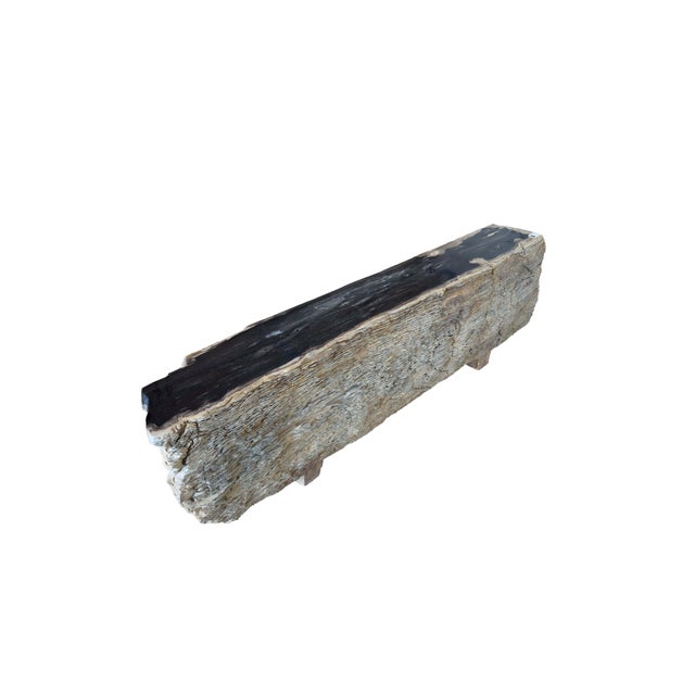 This exceptional petrified wood bench is a unique statement piece, shaped by millions of years of natural history. Sourced...