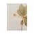 1930s Vintage Swedish Herbarium - European Starflower, Circa 1938 For Sale - Image 5 of 7