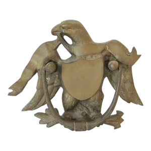 Vintage Brass Eagle Door Knocker