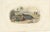 After Édouard Traviès, The Common Dolphin, 1840, Hand-Colored Engraving For Sale - Image 3 of 9