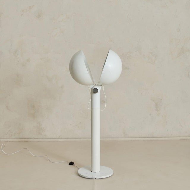 Italian 'Tenaglia' Floor Lamp by Francesco Buzzi Ceriani, 1969 For Sale - Image 9 of 11