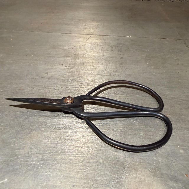Traditional Pair of Forged Carbon Steel Loop-Handled Shears Chinese Bonsai For Sale - Image 12 of 15