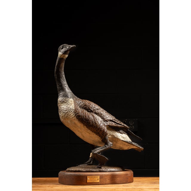 c. 1984; James E. Hoker - United States Large bronze sculpture depicting a Canada goose mid-stride, its wings gently...
