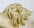 This is a mid century vintage plaster lion sculpture. This lion sculpture has a textured rustic patina to the surface....