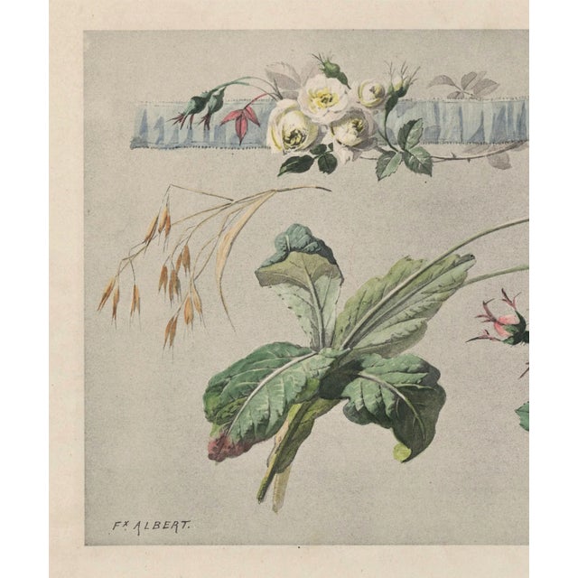 RARE BEAUTY! This is a French antique Art Nouveau botanical lithograph that dates to c1900. it originally came from an...