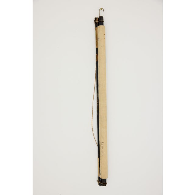 Mid-Century Modern Jung-Koch-Quentell German Zoological Snake Anatomy Wall Chart, C. 1960s For Sale - Image 3 of 18