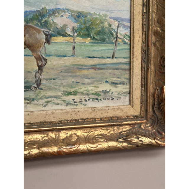 Einar Söderlund, Horses in a Pasture, 1960s, Oil Painting on Panel, Framed For Sale - Image 9 of 13