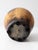 Vintage Mid-Century Abstract Pottery Vase For Sale - Image 13 of 13
