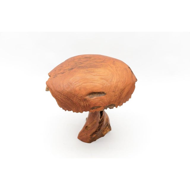 Large Mid-Century Modern Mushroom, 1960s For Sale - Image 11 of 16