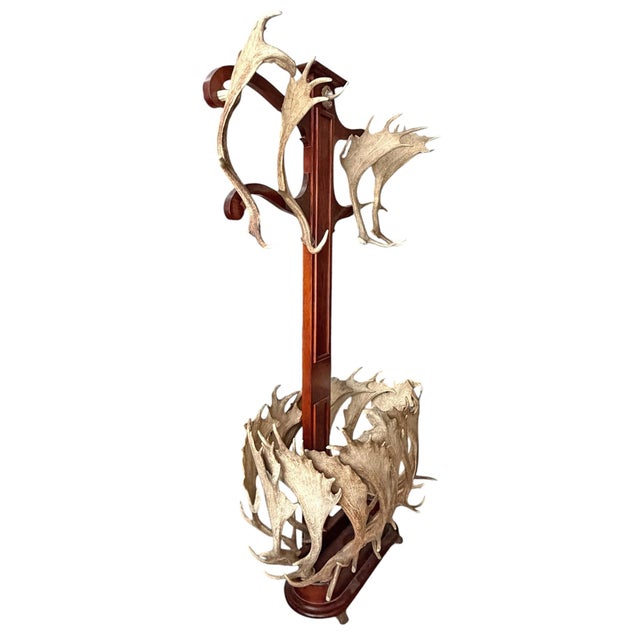 Mid 20th Century Vintage Fallow Deer Antler Hall Tree For Sale - Image 5 of 15