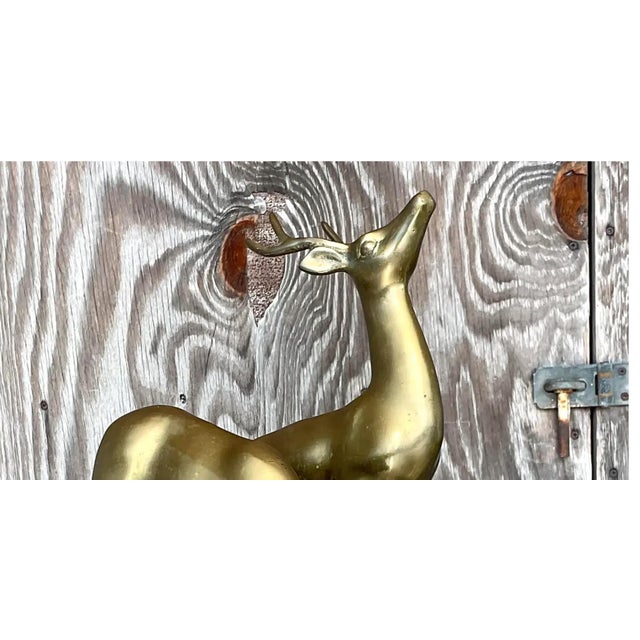 Metal Vintage Regency Brass Deer - a Pair For Sale - Image 7 of 12