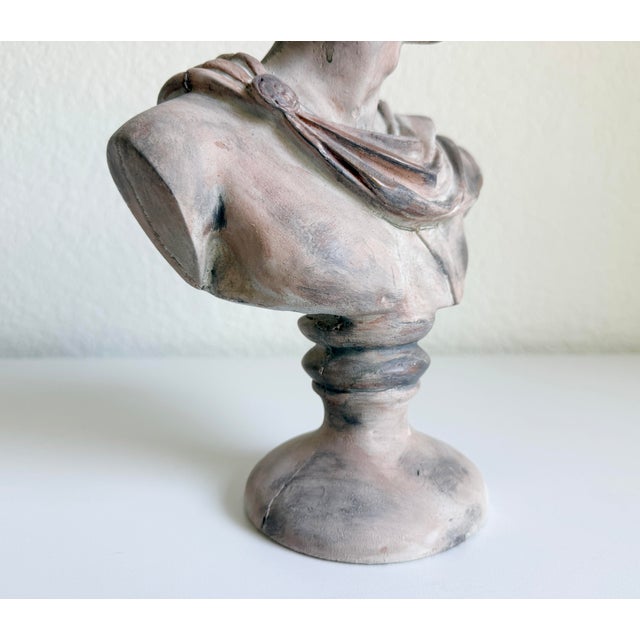 Classical Bust of Apollo Belvedere, Early 21st Century For Sale - Image 11 of 12