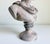 Classical Bust of Apollo Belvedere, Early 21st Century For Sale - Image 11 of 12