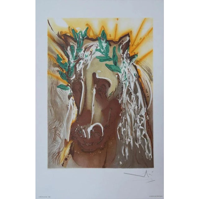 Salvador Dali, Horses, The Spring Horse, Signed Lithograph For Sale - Image 5 of 5
