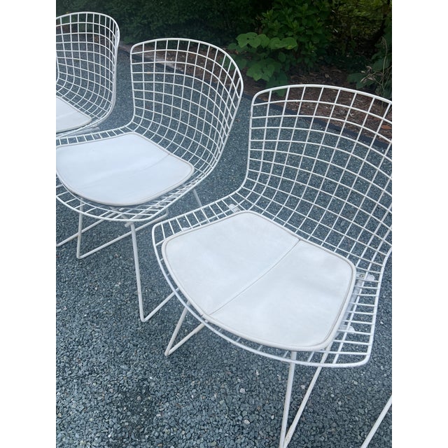 Metal A Set of Four Wire Chairs by Harry Bertoia for Knoll International, Circa 1970 For Sale - Image 7 of 18