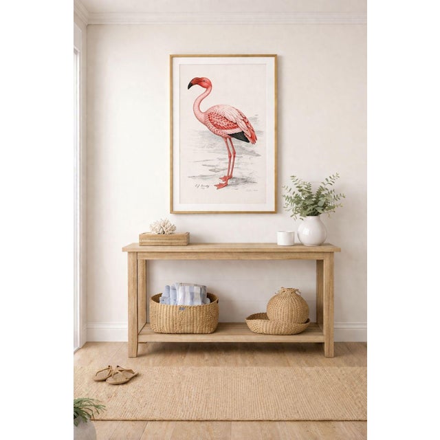 African Lesser Flamingo by C. G. Finch-Davies, Vintage Reproduction Bird Art Print, 26″ × 40″ For Sale - Image 3 of 8