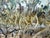 Large Oil on Cardboard Landscape Painting From 70's For Sale - Image 11 of 15