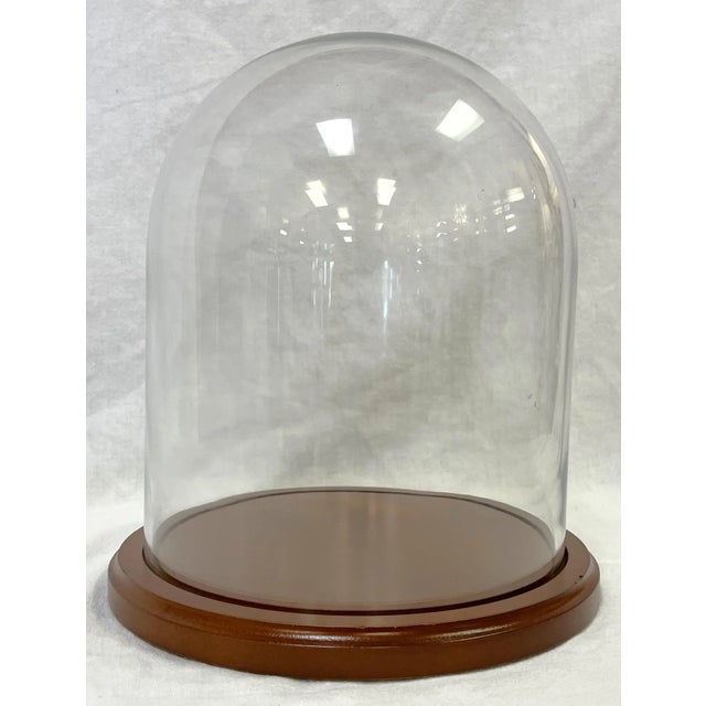 Mid 20th Century Vintage Large Glass Display Cloche on Wood Base For Sale - Image 5 of 13