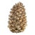 Gold Decorative Pinecone Figurine, Large For Sale