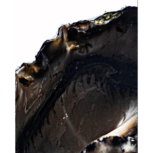 Oyster — Sivan Roshianu, Limited Edition Metal Print (Edition of 5) For Sale - Image 4 of 5