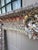 2020s Seashell Encrusted Fireplace Surround and Mantel For Sale - Image 5 of 18