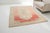 Textile Vintage Turkish Oushak Rug With Pastel Coral Field and Muted Medallion For Sale - Image 7 of 9