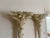 1960s 1960s Pair of Fiberglass Torchères in the Manner of Serge Roche For Sale - Image 5 of 13