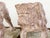 Pair of 19th Century French Faience Bulldog Sculptures on Terracotta Bases For Sale - Image 4 of 10