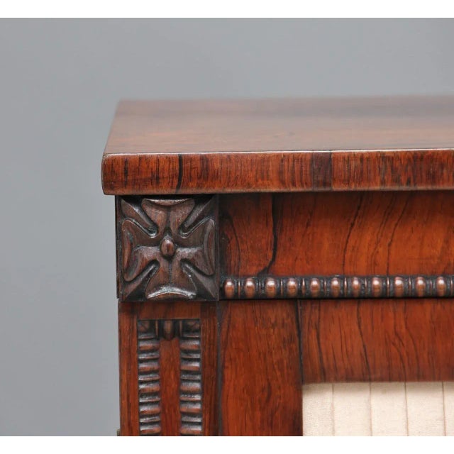 Rosewood Pedestal Cabinets, 1830s, Set of 2 For Sale - Image 9 of 14