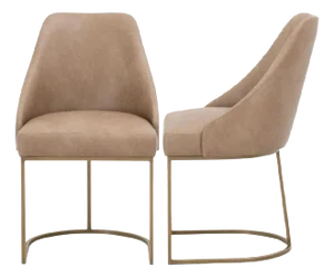 Essentials For Living Parissa Leather Armless Dining Chairs- Set of 2