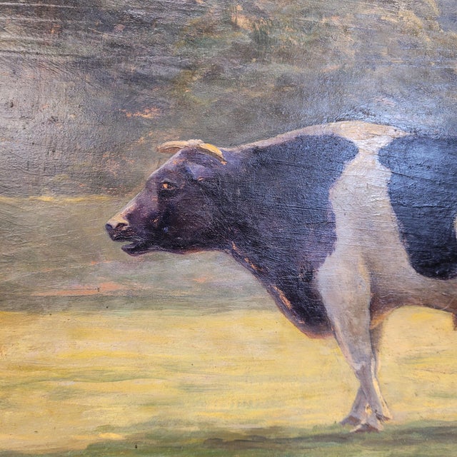 Roger Griboval, Rouen School Cow, 1980s, Oil on Board For Sale - Image 16 of 18
