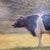 Roger Griboval, Rouen School Cow, 1980s, Oil on Board For Sale - Image 16 of 18