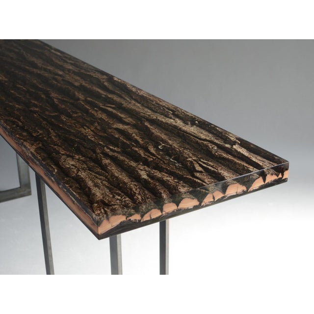 Phellem is the outermost layer of tree bark — a vast living skin that protects, adapts and records the identity of each...
