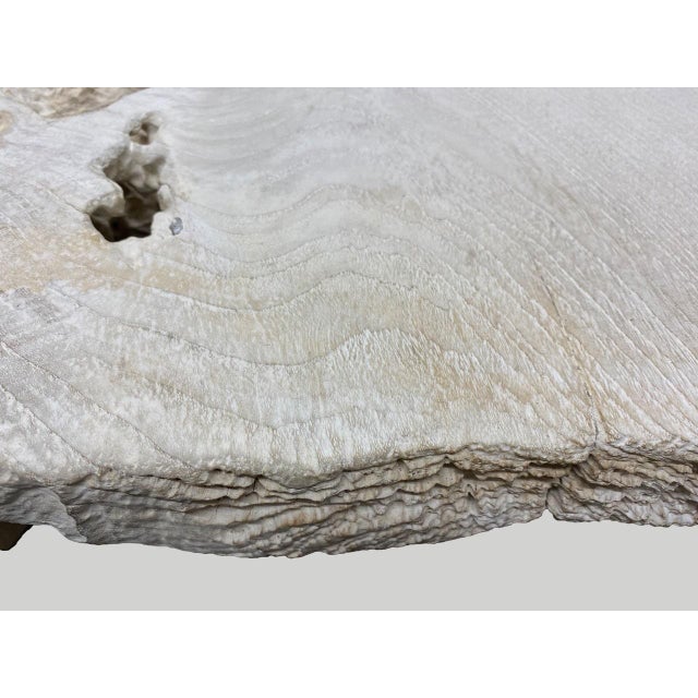 Andrianna Shamaris Minimalist Bleached Teak Wood Coffee Table or Bench For Sale - Image 4 of 18