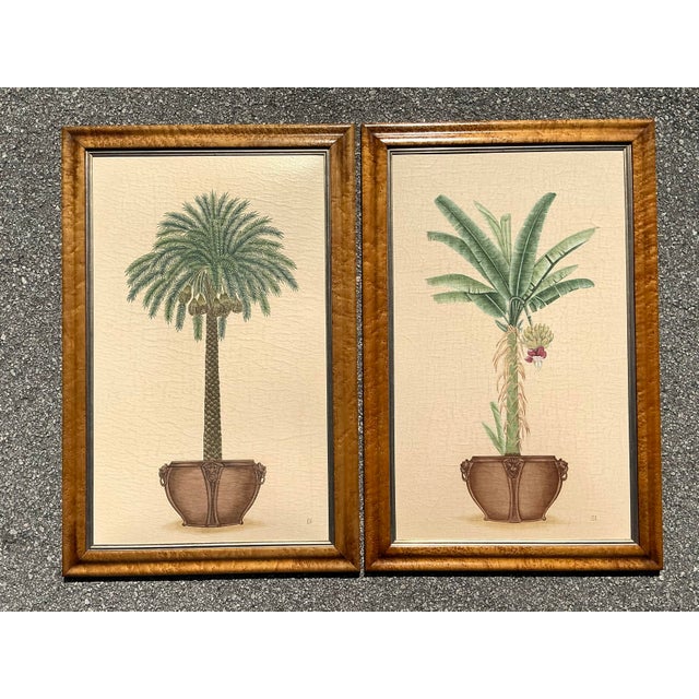 Vintage Coastal Prints - A Pair For Sale - Image 10 of 12
