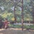 People in the Park, Oil Painting on Board, Early 20th Century, Framed For Sale - Image 3 of 11