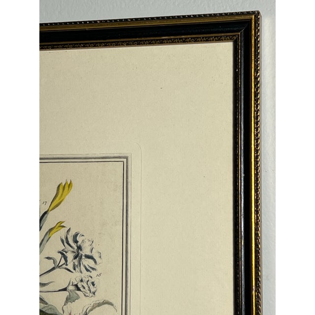 Late 20th Century Framed Prints, 12 Months of Flowers by Robert Furber Orig. 1730 - Set of Four For Sale - Image 13 of 18