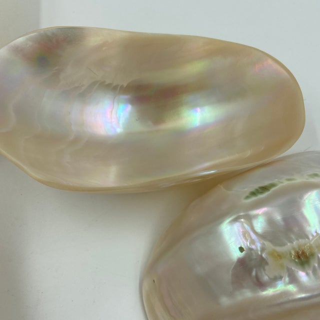 Shell Late 20th Century Caviar Mother of Pearl Bowls - 12 pcs For Sale - Image 7 of 12