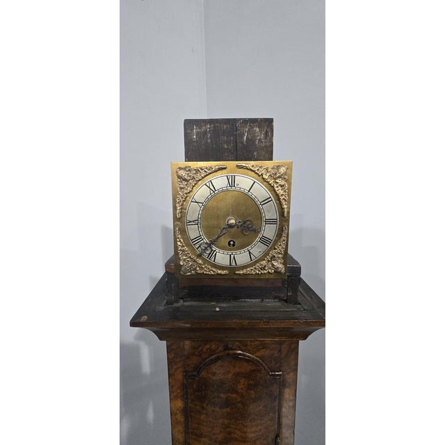 Super Queen Anne style burr walnut granddaughter clock, removable hood, brass and silvered dial, single weight eight day...