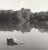 Contemporary 1978 Joel Greenberg 'Central Park' Contemporary USA Offset Lithograph For Sale - Image 3 of 5